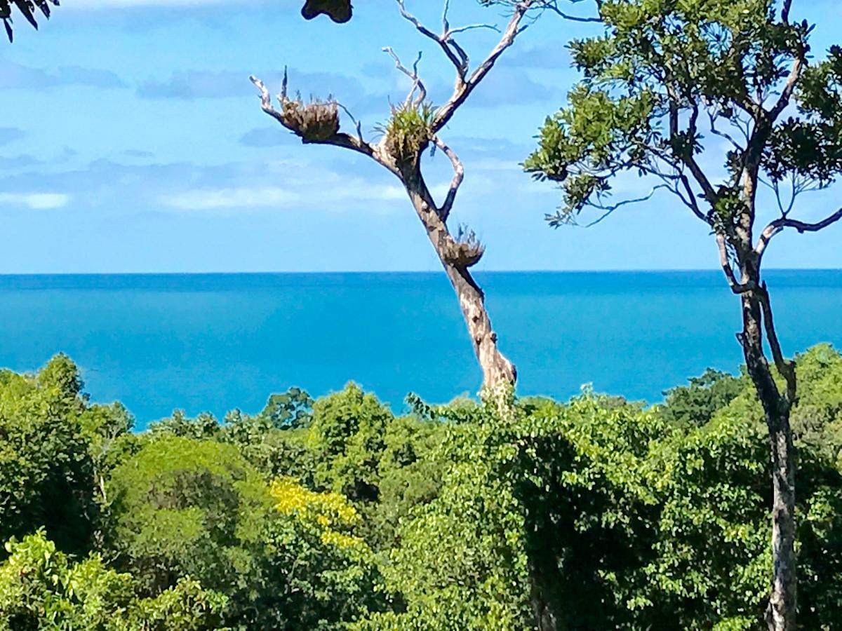 Daintree Magic Holiday House Cow Bay Exterior foto
